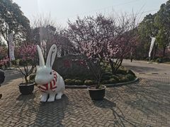 -上海海湾国家森林公园