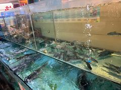 -金龙渔港(双楠店)