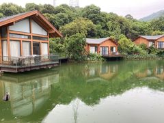 -杭州开元森泊度假乐园