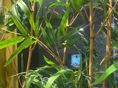 -牛村来人潮汕牛肉火锅(西单店)