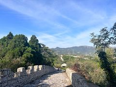 -原山国家森林公园