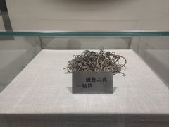-白洋淀景区