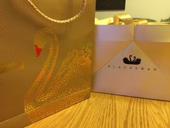 -BLACKSWAN黑天鹅(环球店)