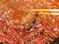 -蜀大侠火锅(寰球文化地标·总府店)