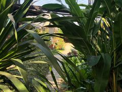 -Ohkajhu Organic Farm Sansai