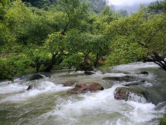 -百杖潭景区