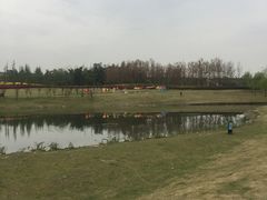 -两河城市森林公园