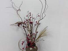 -新加坡佛牙寺龙华院