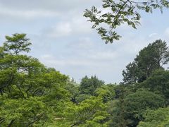 -鼓岭旅游度假区
