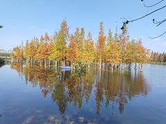-白鹭湾湿地公园