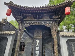 -大槐树寻根祭祖园