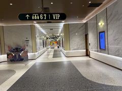 -英皇电影城(平安金融中心IMAX激光店)
