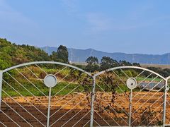 -光明小镇欢乐田园