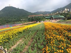 iphone_upload_pic-东部华侨城