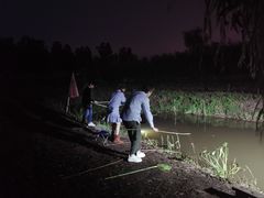 -同銮特种养殖场·龙虾垂钓