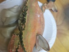 -鼓歌海鲜舫·手抓海鲜(大学城店)