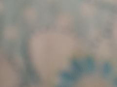 -巢爷老味(东方红店)