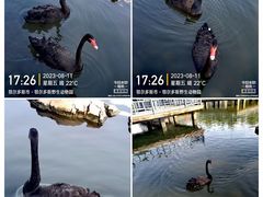 -鄂尔多斯野生动物园