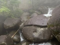 -大围山国家森林公园
