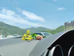 -青峰峡国家森林公园