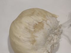 -福禧荟·海鲜自助