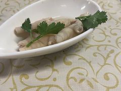 -百利鸽王(紫薇路店)