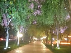 -唐城墙遗址公园