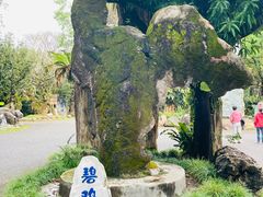 -云南勐巴娜西珍奇园