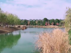 -张家港凤凰山景区河阳山歌馆