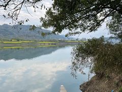 -新安江山水画廊风景区