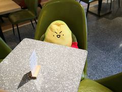 -油梨树AVOCADO TREE(嘉里中心店)