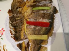 -骏莱海鲜鱼港(五角场店)