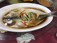 清蒸白鱼-洪泽老鱼馆(淮海一店)