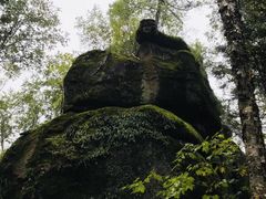 -汤旺河林海奇石景区