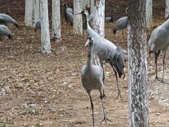 -艾溪湖湿地公园