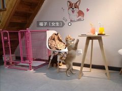 -汪说·狗咖(旺城大厦店)