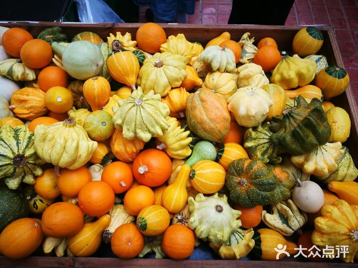 永记生态园图片