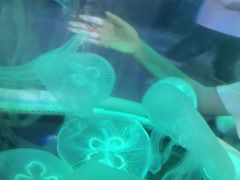 -横店影视城梦幻谷园区
