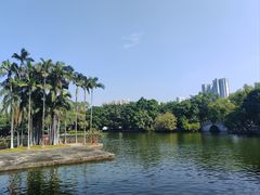 -荔湾湖公园