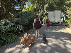 -墨尔本皇家植物园