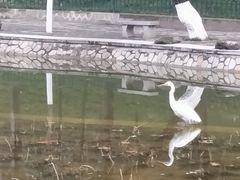 -西安市长乐公园