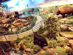 -陕西自然博物馆