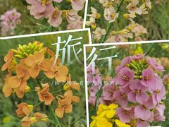 -漩门湾国家湿地公园