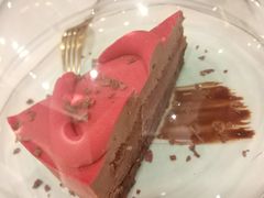 法式榛果巧克力-飞行喵MR PILOT|猫舍·猫咖(静安大融城店)