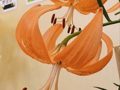 -中国农业博物馆