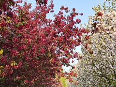 -元大都城垣遗址公园