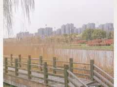 -太湖湖滨国家湿地公园-停车场