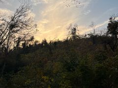 -青龙山国家森林公园