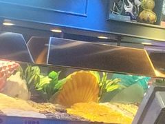 -银鲨海鲜烤肉火锅自助餐厅(五星店)