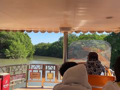 -大湾区中央湿地公园